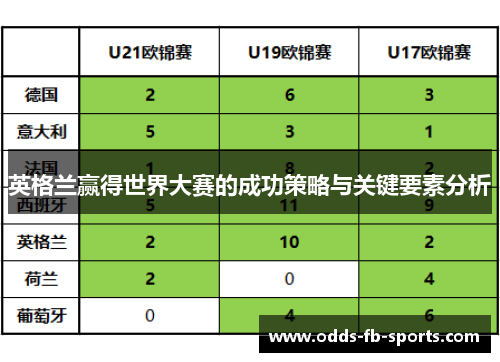 英格兰赢得世界大赛的成功策略与关键要素分析
