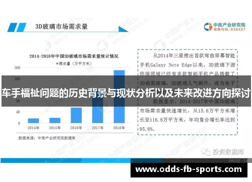 车手福祉问题的历史背景与现状分析以及未来改进方向探讨